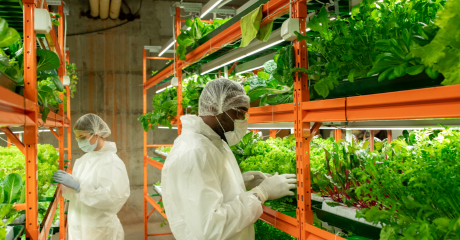 Why Smart Investors Are Diversifying into Real Estate and Agro-Farming in 2025